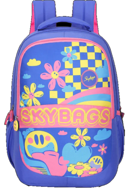 Skybags sale online