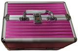 Makeup Metal Vanity Bag